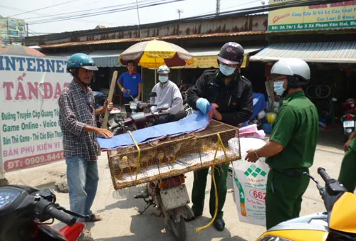 TP.HCM: Khó ngăn chặn kinh doanh gia cầm trái phép