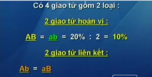 BTKT môn Sinh học: Bài tập về hoán vị gen