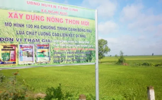 Liên kết 4 nhà - Mô hình điểm cho cánh đồng mẫu lớn 