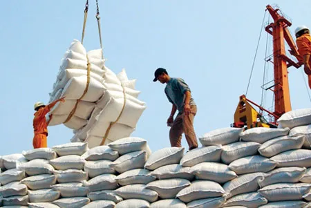 Giảm 1,1 triệu tấn, xuất khẩu gạo Việt Nam chỉ đứng thứ 3 thế giới năm 2013