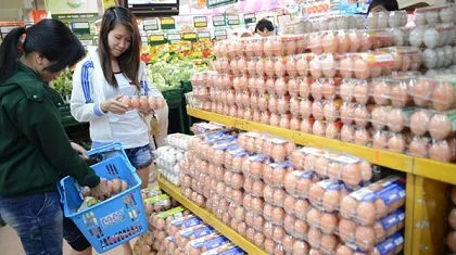 Trứng gia cầm rớt giá