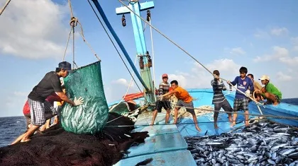 Bộ Tài chính trình Chính phủ Dự thảo Nghị định phát triển thủy sản