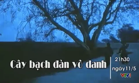 Cây bạch đàn vô danh – Phim cuối tuần trên VTV1