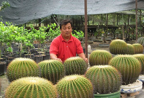 Sinh ra từ làng: Long xương rồng (18h30, VTV6)