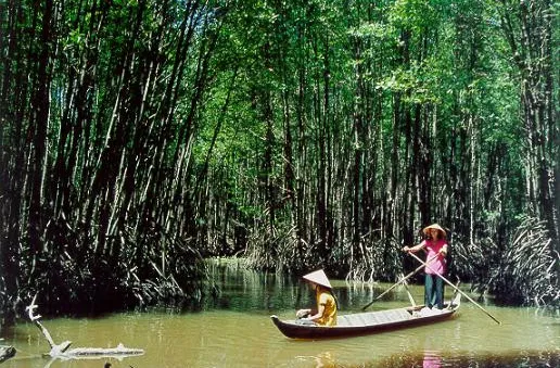 Sống khác: Rời giảng đường về Đất Mũi mò cua bắt ốc (18h30, VTV6)