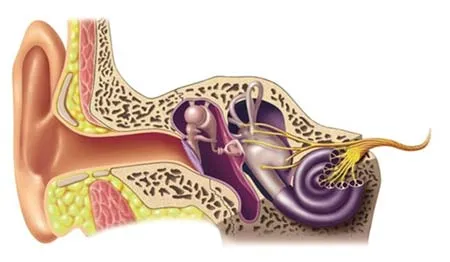 Những điều cần biết về rối loạn tiền đình