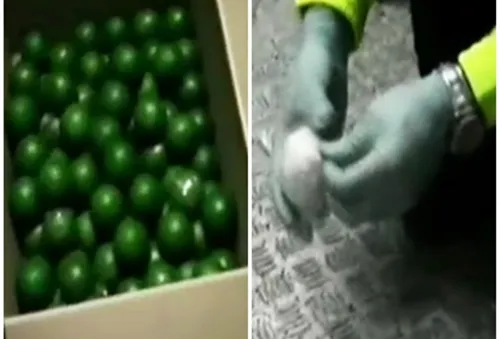 Colombia thu giữ lượng cocaine trị giá 60 triệu USD