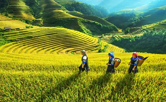 Rực rỡ sắc màu "Chào Tây Bắc" tại TP.HCM 