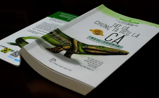 “Tất cả chúng ta đều là cá”   - Sự khám phá thú vị về con người