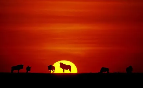 Những địa danh trên thế giới: Đất nước Tanzania