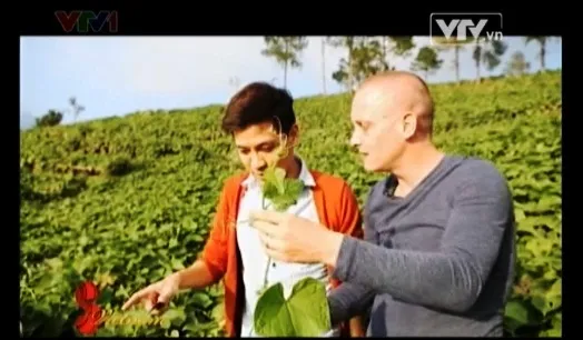 Su Su Tam Đảo - Món ăn cũ, hương vị mới