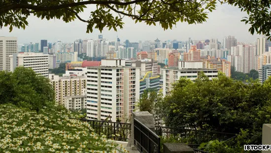 Singapore và chiến lược phủ xanh thành phố 