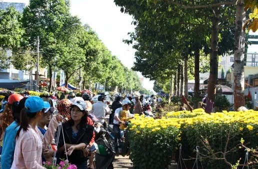 Nhộn nhịp thị trường hoa Tết ở Đăk Lăk