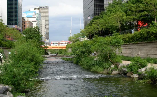 Chuyện về suối Cheonggyecheon ở Seoul, Hàn Quốc