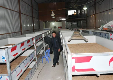 Gián đất đã từng được cấp phép