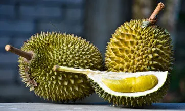 Ăn sầu riêng cũng phải biết cách