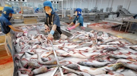 VASEP và 16 DN thống nhất khởi kiện DOC 