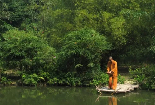 Nhà sư “nặng lòng” với tre trúc Việt Nam