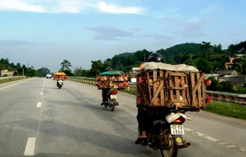Ngăn chặn gà nhập lậu: Còn gian nan