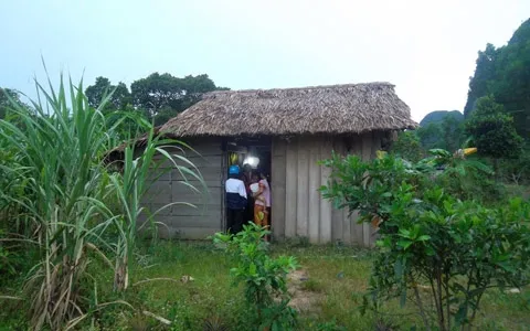 Khát vọng có ly sữa cho con của hai vợ chồng “ngớ ngẩn”