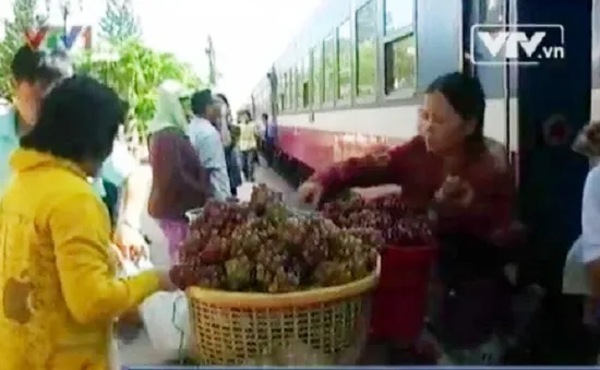 Nhập nhằng giữa "nho độn đá" và nho chất lượng