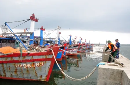 Đánh chìm xà lan nặng 100 tấn để tránh siêu bão