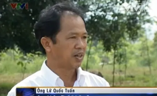 Kon Tum: Nhiều doanh nghiệp nợ thuế hàng trăm tỷ đồng