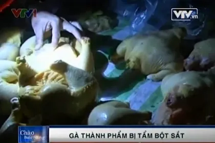 Hậu Giang: Gà thành phẩm nhiễm bột sắt 