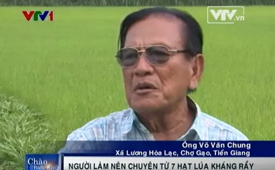Xứng danh “Vua lúa giống miền Tây” từ… 7 hạt lúa
