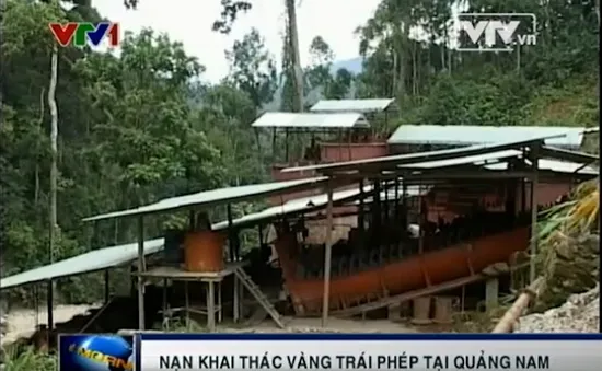 Căn nguyên nạn "vàng tặc" tại Quảng Nam?