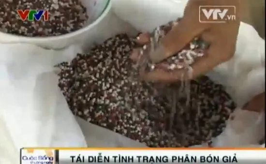 Nông dân điêu đứng vì phân bón giả