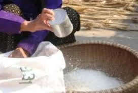 Quảng Trị: Xử lý sai phạm trong việc cấp phát gạo cứu đói 