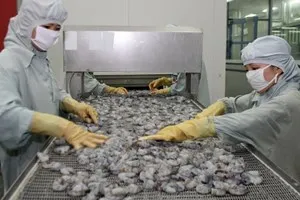 ĐBSCL phấn đấu đạt 2,55 tỷ USD kim ngạch xuất khẩu tôm