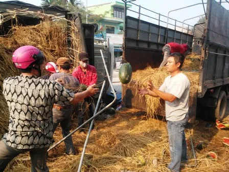 Lật xe chở dưa hấu, ách tắc giao thông nghiêm trọng