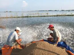 Giảm lãi suất cho vay lĩnh vực nông nghiệp về 8%/năm