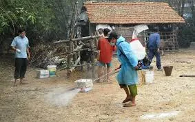 Dịch lở mồm long móng bùng phát ở Hà Tĩnh	