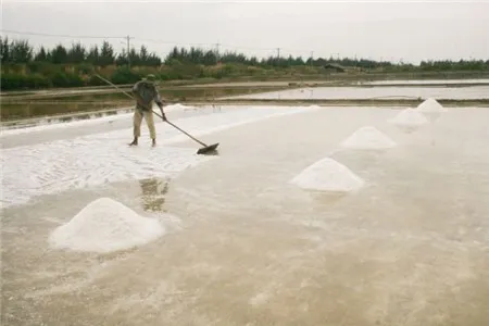 TP.HCM xin được xây kho dự trữ muối quốc gia
