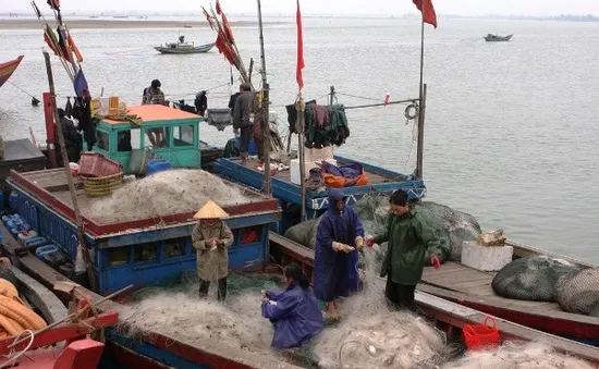 Ngư dân vững tâm bám biển, tiếp tục tăng gia sản xuất