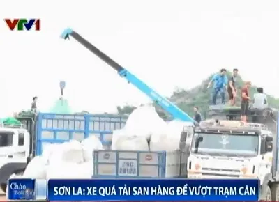 Sơn La: Xe quá tải ngang nhiên san hàng để vượt trạm cân