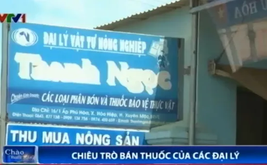 Thực hư chiêu trò bán thuốc trị bệnh cho cây tiêu