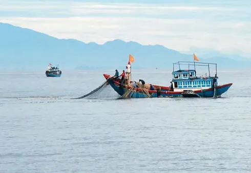 Đang đánh cá, ngư dân rơi xuống biển mất tích