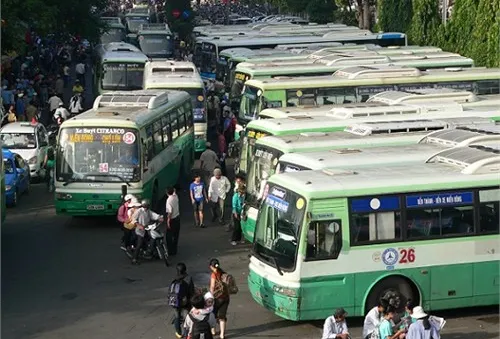 Tăng cường xử lý tài xế xe buýt sử dụng giấy phép lái xe giả
