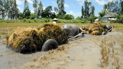 Đồng Tháp: Huy động tối đa lực lượng khắc phục sự cố vỡ đê