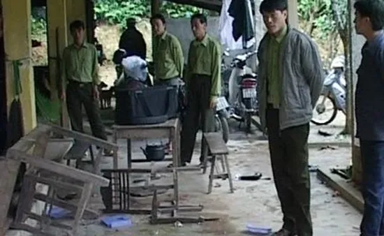 Nhiều lỗ hổng trong pháp luật bảo vệ rừng