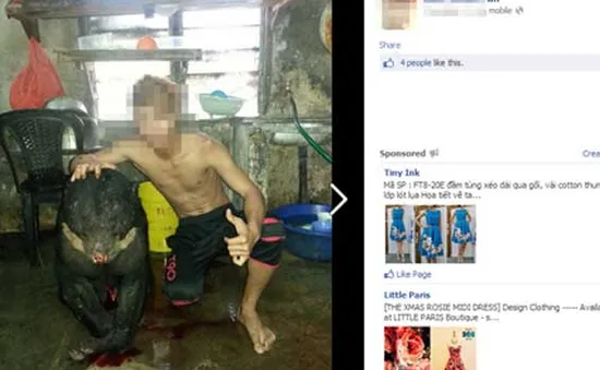 Phản đối hành động giết gấu rồi đưa lên FB