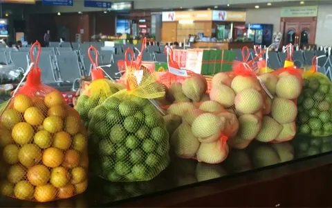Tăng cường minh bạch giá điện và kiểm tra xuất xứ hàng hóa tại sân bay 