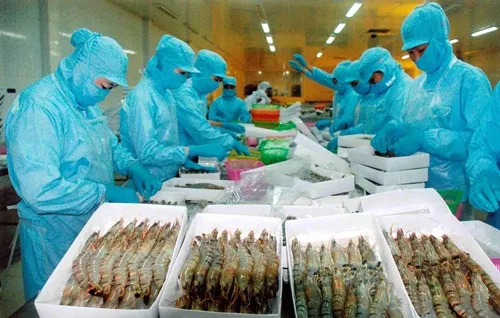 Ngành Thủy sản thắng lớn nhờ tôm 