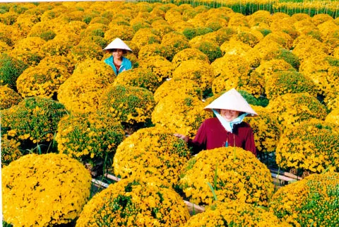 Xứ Lạng - 'thiên đường' của đặc sản