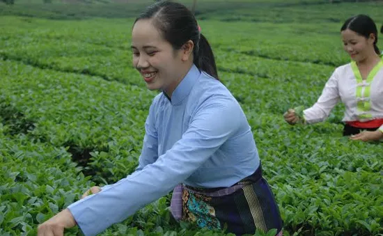 Huyền thoại vùng mỹ nữ trên đất Tổ (kỳ 1)