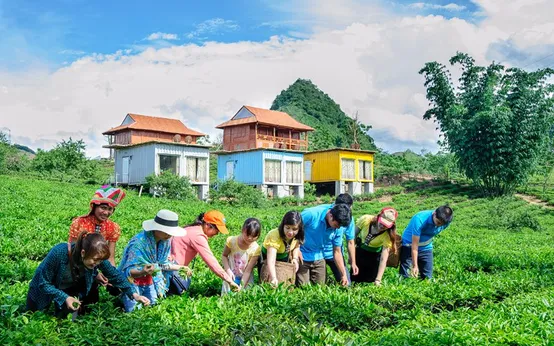 tour-moc-chau-arena-resort-3-ngay-2-dem